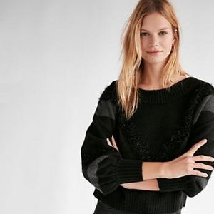 Express Sweater